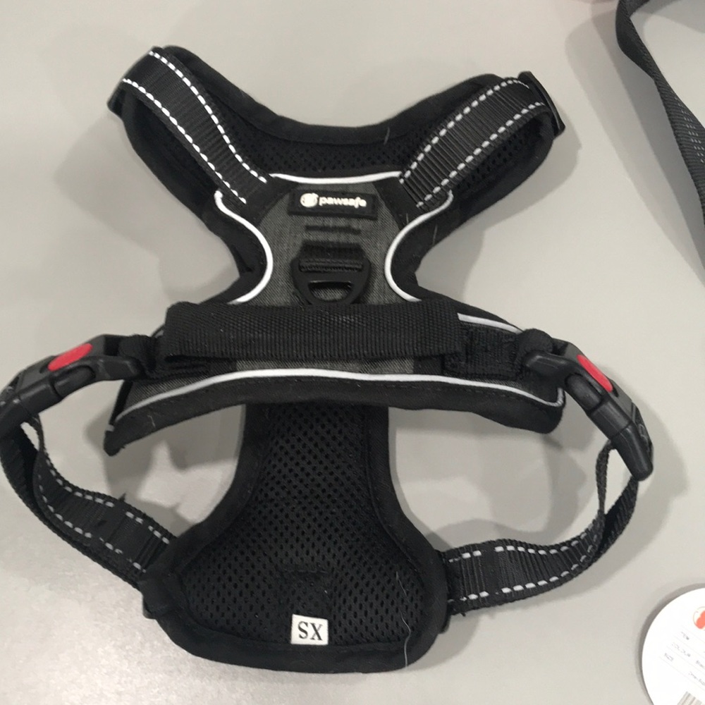 Car seat belt harness